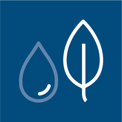 Wasser und Umwelt
